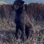 aadebc54-8b6b-4c7f-99b7-d6f36023505a