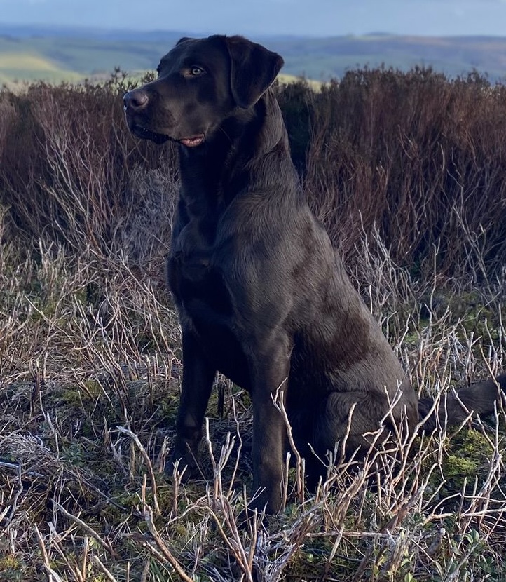 aadebc54-8b6b-4c7f-99b7-d6f36023505a