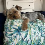 WhatsApp Image 2026-04-28 at 14.05.19