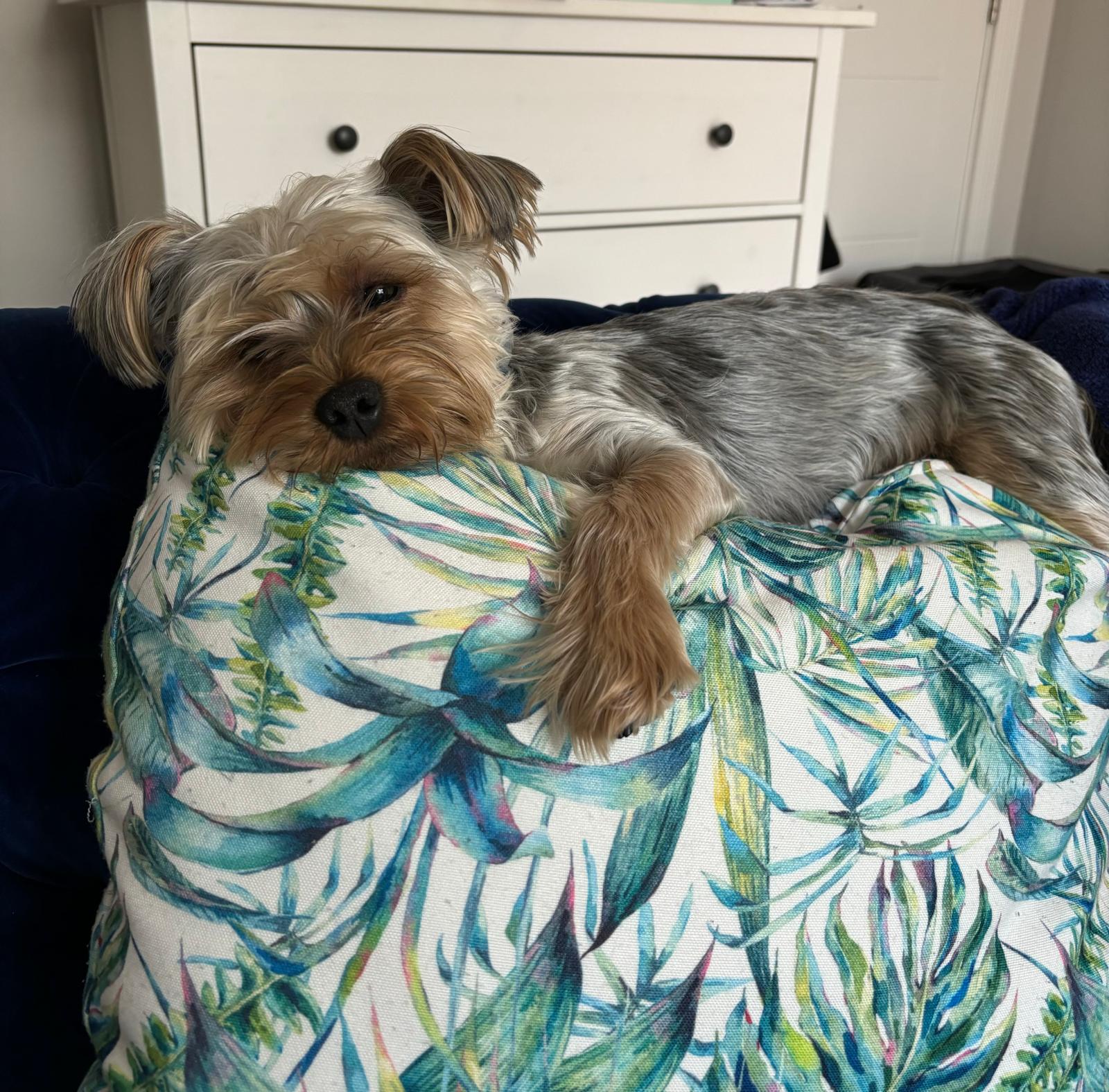 WhatsApp Image 2026-04-28 at 14.05.19