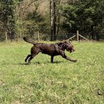 606e7d3e-0f03-4b1d-9167-69bc127cb0b6