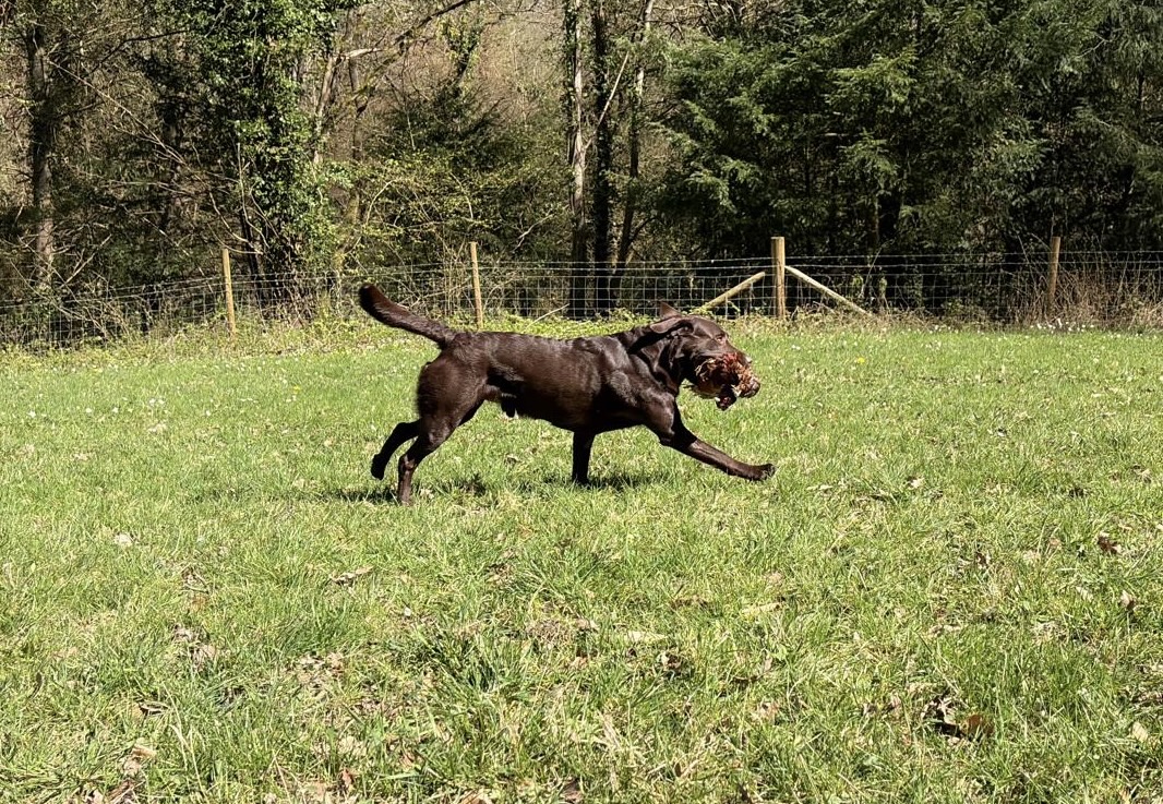 606e7d3e-0f03-4b1d-9167-69bc127cb0b6