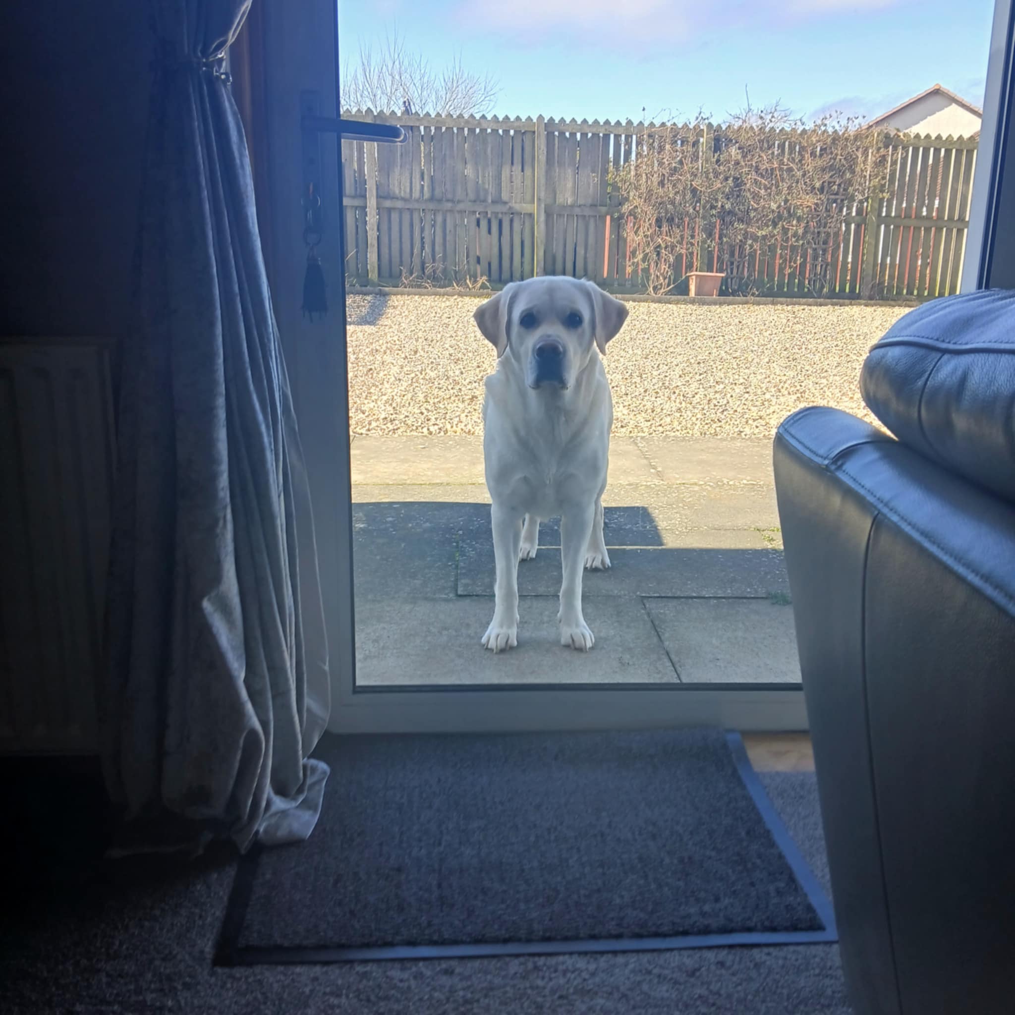 Oakley at 3 2