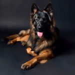 IMG_0381
