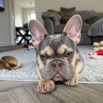 IMG_4889