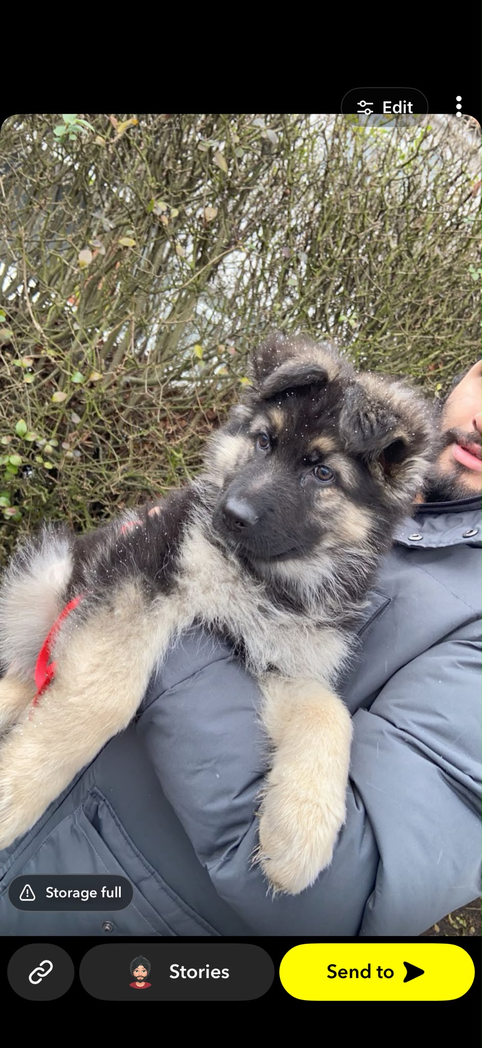 Loki as a puppy outdoors with his owner