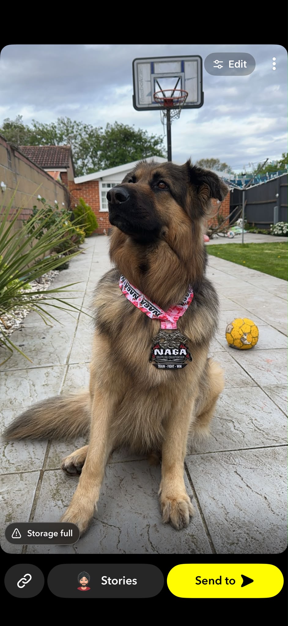 Loki as an adult wearing his medal